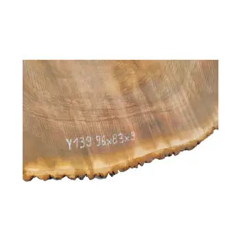 Plaster Jesionowy 96x83x9cm