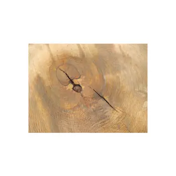 Plaster Jesionowy 96x83x9cm