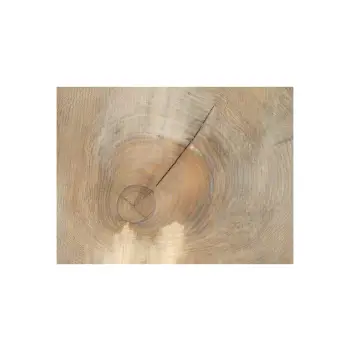 Plaster Jesionowy 94x81x9cm