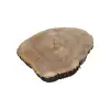 Plaster Jesionowy 93x81x9cm