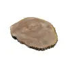 Plaster Jesionowy 93x81x9cm