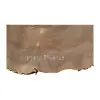 Plaster Jesionowy 93x81x9cm