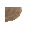Plaster Jesionowy 93x81x9cm