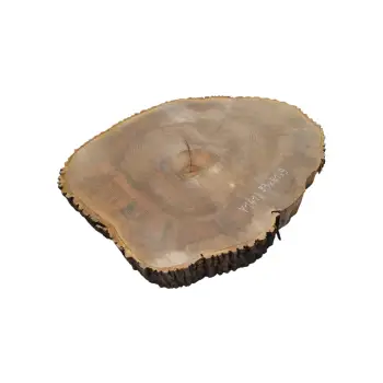 Plaster Jesionowy 93x81x9cm