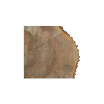 Plaster Jesionowy 93x81x9cm