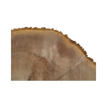 Plaster Jesionowy 93x81x9cm