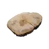 Plaster Jesionowy 97x83x9cm