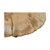 Plaster Jesionowy 97x83x9cm