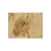 Plaster Jesionowy 97x83x9cm