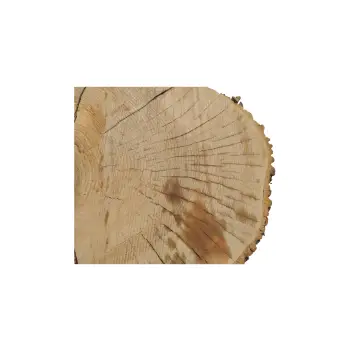 Plaster Jesionowy 97x83x9cm
