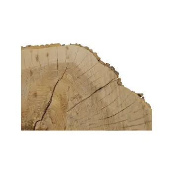 Plaster Jesionowy 97x83x9cm