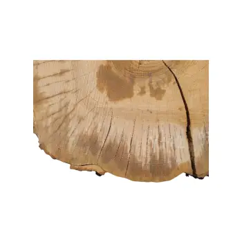 Plaster Jesionowy 97x83x9cm