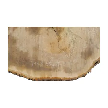 Plaster Jesionowy 95x83x8cm