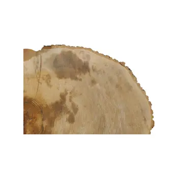 Plaster Jesionowy 95x83x8cm