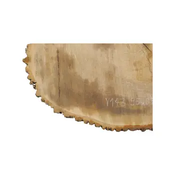 Plaster Jesionowy 95x83x8cm