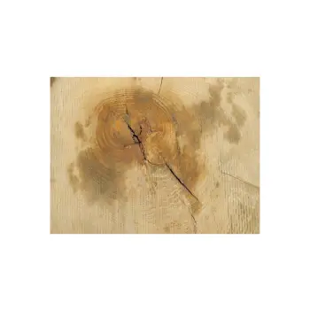 Plaster Jesionowy 95x83x8cm