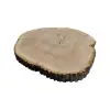 Plaster Jesionowy 97x88x10cm