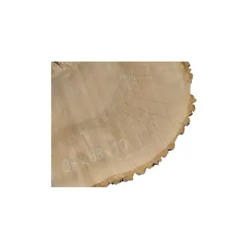 Plaster Jesionowy 97x88x10cm