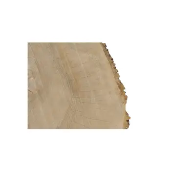 Plaster Jesionowy 97x88x10cm