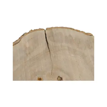 Plaster Jesionowy 97x88x10cm