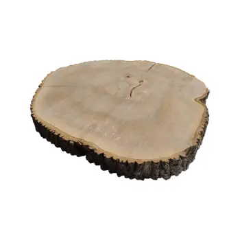 Plaster Jesionowy 97x88x10cm