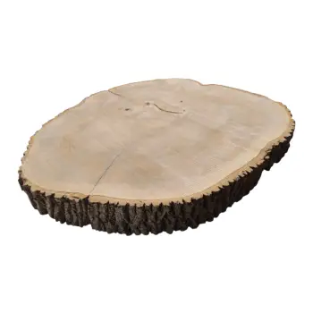 Plaster Jesionowy 97x88x10cm