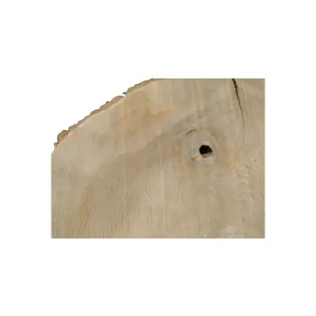 Plaster Jesionowy 100x90x10cm