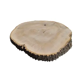 Plaster Jesionowy 100x90x10cm