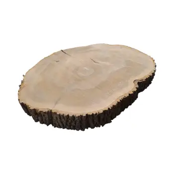 Plaster Jesionowy 105x92x10cm