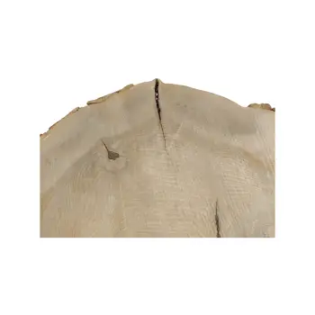 Plaster Jesionowy 105x92x10cm