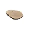 Plaster Jesionowy 122x84x10cm