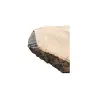 Plaster Jesionowy 122x84x10cm