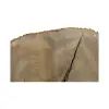 Plaster Jesionowy 107x77x8cm
