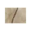 Plaster Jesionowy 107x77x8cm
