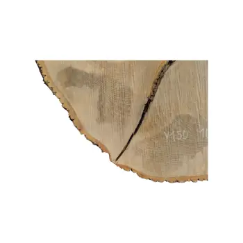 Plaster Jesionowy 107x77x8cm