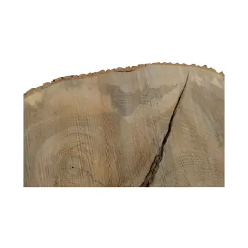 Plaster Jesionowy 107x77x8cm