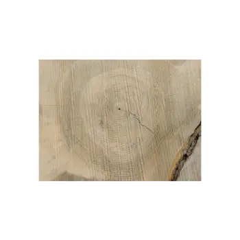 Plaster Jesionowy 107x77x8cm