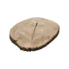 Plaster Jesionowy 88x81x10cm
