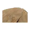 Plaster Jesionowy 88x81x10cm