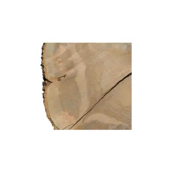 Plaster Jesionowy 88x81x10cm