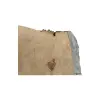 Plaster Jesionowy 100x81x9cm