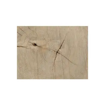Plaster Jesionowy 100x81x9cm
