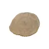 Plaster Jesionowy 83x69x9cm