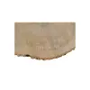 Plaster Jesionowy 83x69x9cm