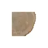 Plaster Jesionowy 83x69x9cm