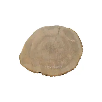 Plaster Jesionowy 83x69x9cm