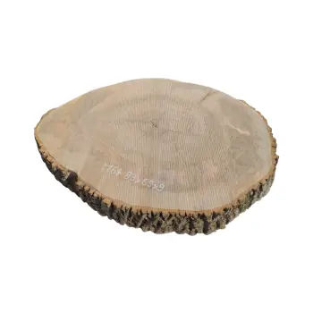 Plaster Jesionowy 83x69x9cm