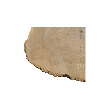 Plaster Jesionowy 83x69x9cm