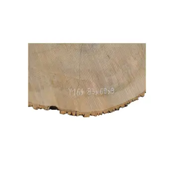 Plaster Jesionowy 83x69x9cm