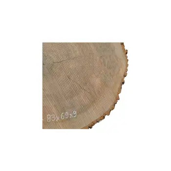 Plaster Jesionowy 83x69x9cm